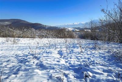 Teren 1344 mp  de vanzare cu autorizatie de constructie str Cindrel - 6