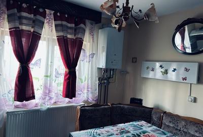 Proprietar vand casa P+M in Valu lui Traian - 10