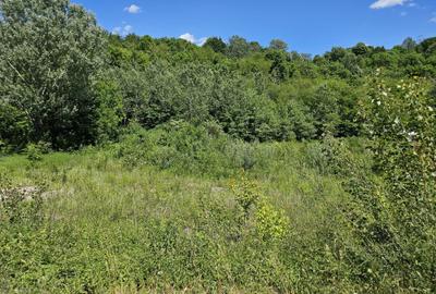 Cornu, Prahova, teren intravilan. 5.012mp, cu deschidere la DN1 38ml - 3