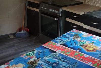 Casă cu 2 camere în Nămoloasa - 3