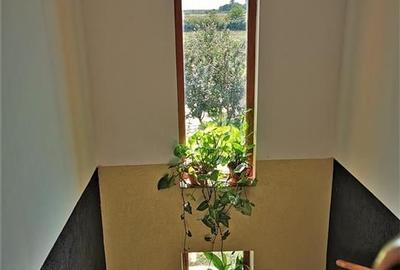 Vila Deosebita Rudicica - 13