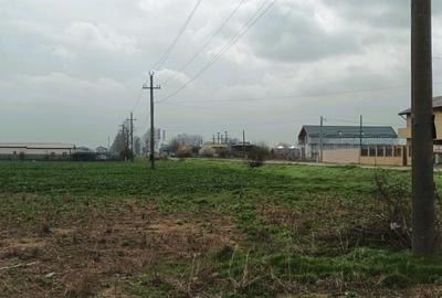 Teren Intravilan 552 mp, Utilitati la Lot, Sistem de Rate - 8