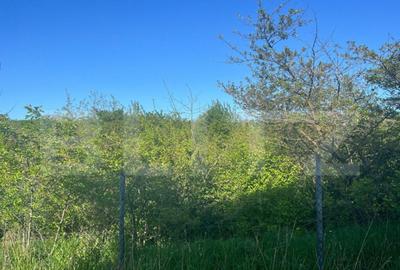 Teren intravilan ,cu vegetatie, 2700 mp, zona Siret - 2