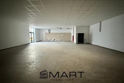 Spatiu Comercial/Hala  210 mp , Calea Dumbravii - 2