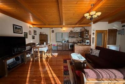 Cabana - Casa de vacanta situata in Muntele Rece! - 20