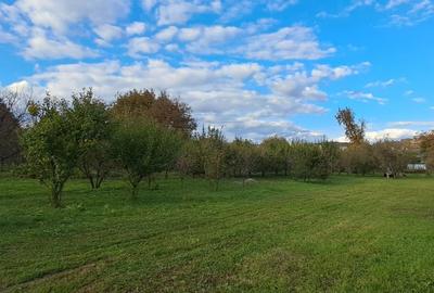 Spațiu comercial, în Central
