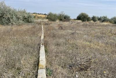 Ovidiu 6 ha teren intravilan construibil îngrădit și platforma betonata. - 18