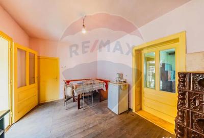 Casă cu 2 camere cu Teren 4500 Mp în Cărand - 3