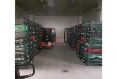 Depozit frigo/spatiu frigorific Militari - Valea Cascadelor - 4