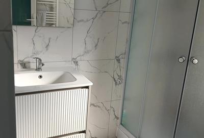 Casa 144mp Becicherecul Mic - 3