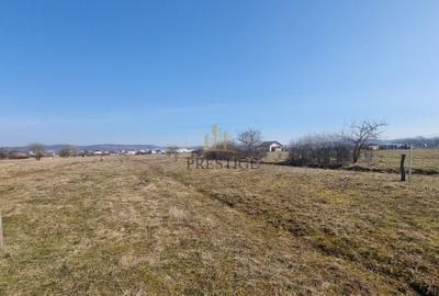 Teren agricol extravilan de 1000 mp, în Șelimbăr - 3