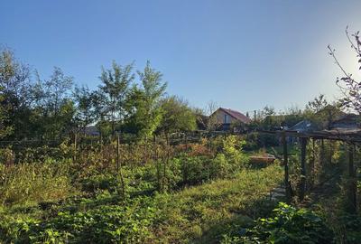 Casă cu 3 camere în Central - 4