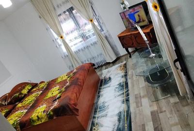 Casă cu Teren 2000 Mp în Coman - 8