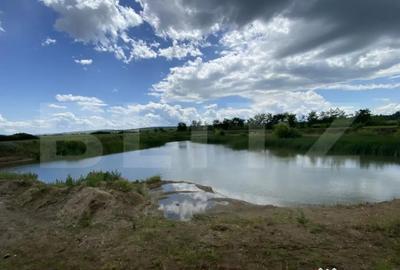 Teren de 10000 mp, în Șărmășag - 6