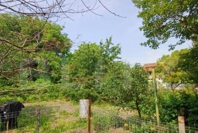 Casa individuala, 145 mp, 802 mp teren, zona centrala, Turda - 3