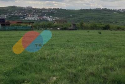 Teren cu PUZ in lucru in Borhanci 1438 mp - 2