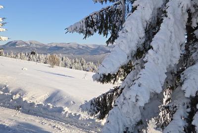Spațiu comercial, în Mureșenii Bârgăului - 6
