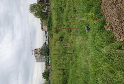 Teren 4000m2 de vsnzare,Manastirea Varatec,Lacul Morii,Bucuresti - 1