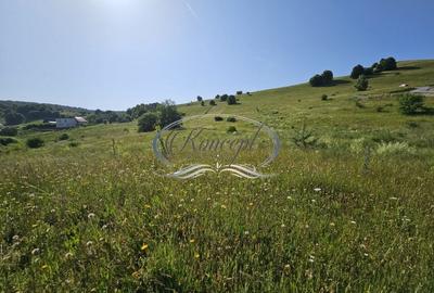 Teren Construcții intravilan de 2000 mp, în Sălicea