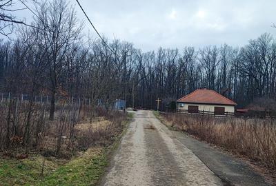 Spațiu comercial, în Viile Satu Mare - 16