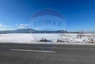 Teren intravilan de 7692 mp, în Uzina 2 - 10
