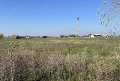 Vand teren intravilan,loc.livada,langa case,ptr.diverse constructii(8500+13744 mp) - 2