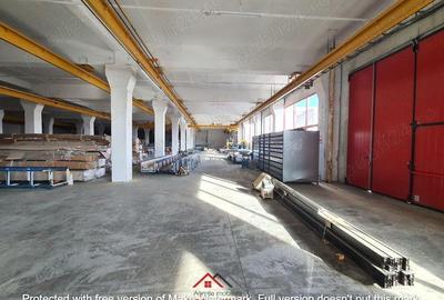 Hale noi in Baicoi, Ph--13.000mp--3e - 12