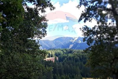 Teren 4,698mp Poiana Brasov / Strada Pastorului - 6