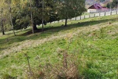 Casa renovabila + teren in Argestru, Suceava - 5