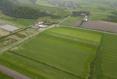 Teren extravilan de 22500mp Zona Ineu - 2