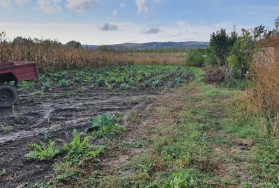 Oferta Teren 2.800 mp.26 euro mp.Sangeorgiu de Mures - 2