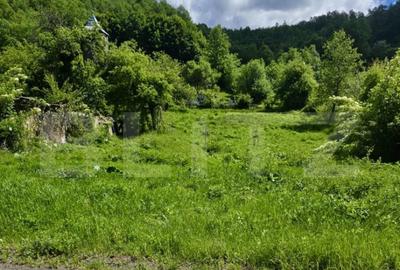 Teren intravilan de vanzare, 1609 mp, zona Petre?ti - 1