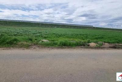 Teren de 1674 mp, în Careiului - 2