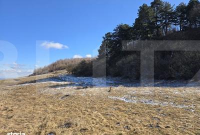 Teren de 4000 mp, în Făget - 5