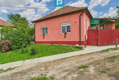 Casă cu 3 camere cu Teren 551 Mp în Turnu - 9