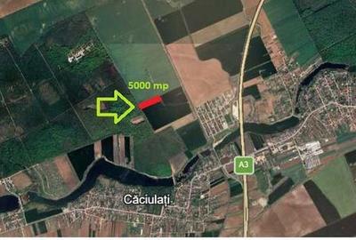 Teren de 5000 mp, în Moara Vlăsiei