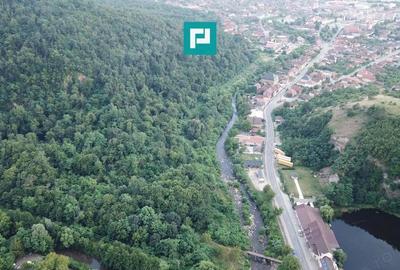 Teren Intravilan, in ora?ul Sebi?, Arad - 18