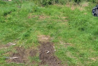 Teren de 2500 mp, în Bujoreni