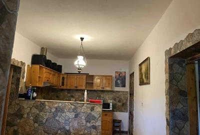 Vand casa Agrisu mare - 3