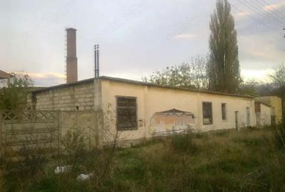 Spațiu comercial, de 220 mp, în Lugoj - 1