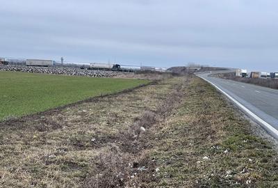 Teren de 9500 mp, în Remetea Mare - 6