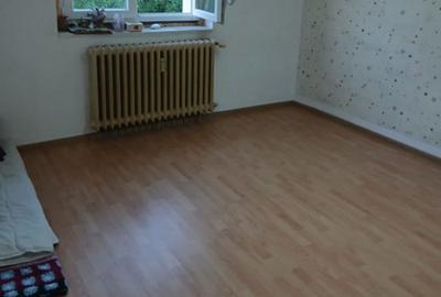 Complex Salaj Parc Humulesti - 1