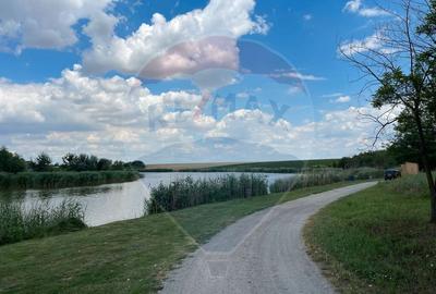 Teren investitie 4.350 mp | Balta Pasarea, langa Bucure?ti Teren investitie 4.350 mp | Balta Pasarea, langa Bucure?ti - 2