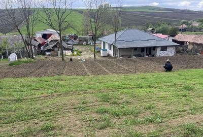 Casă cu 2 camere în Crăiești - 5