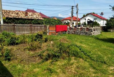 Casa cu 4 camere și teren generos în Domnești Casa cu 4 camere și teren generos în Domnești - 5