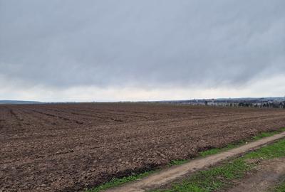 Teren 10,000mp Bacau / Strada Alexandru Safran - 10