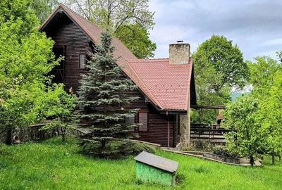 Casă cu Teren 4042 Mp în Nistorești - 18