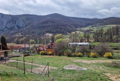 Teren de 1000 mp, în Vălișoara - 6