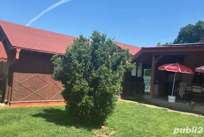 Propietate de vanzare,cu spatiu comercial 47mp, stradal dn7 pitesti Valcea,dupa hanul valea ursului! - 5