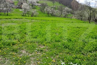 Casa individuala, 5500 mp teren, zona Vintu de Jos, Inuri - 2